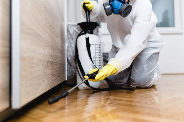 Best Pest Prevention Services  in Arbury Hls, IL