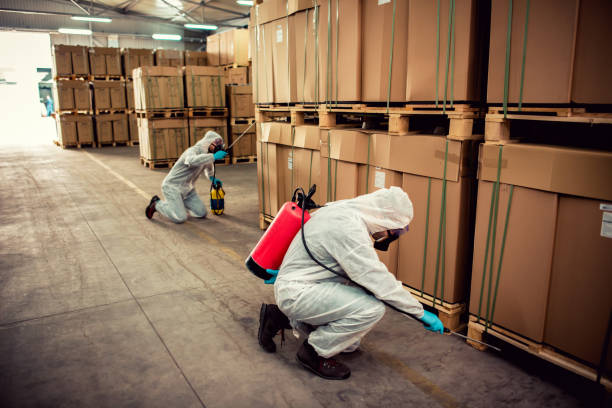 Best Bed Bug Extermination  in Arbury Hls, IL