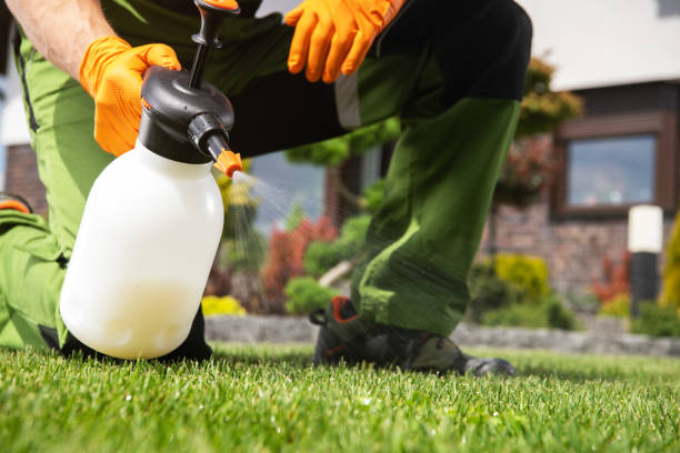 Best Rat Extermination Near Me  in Arbury Hls, IL