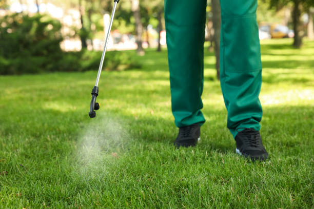 Best Cockroach Control Services  in Arbury Hls, IL