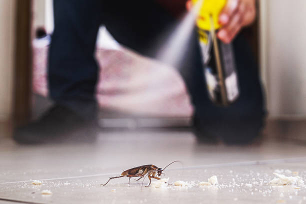 Best Wildlife Control Services  in Arbury Hls, IL