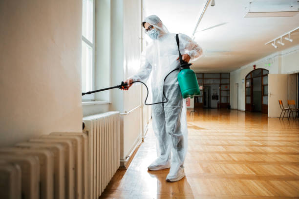 Best Insect Control  in Arbury Hls, IL